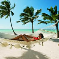 Отзыв от Инна - DTV виза